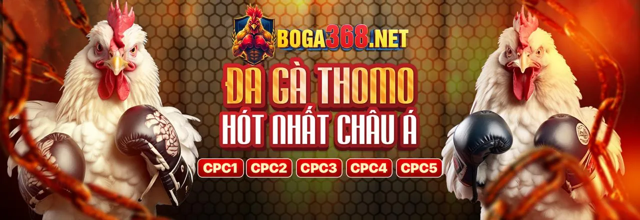 Hình ảnh Chính Sách Bảo Mật acb888 casino